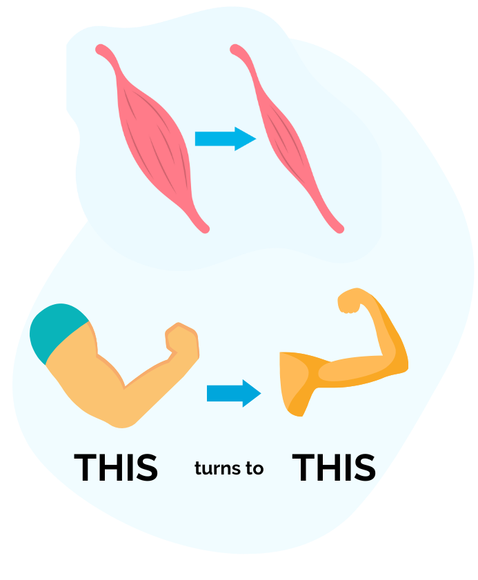 The impact sarcopenia has on our body as women over 50 age