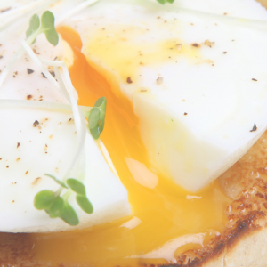 poached eggs